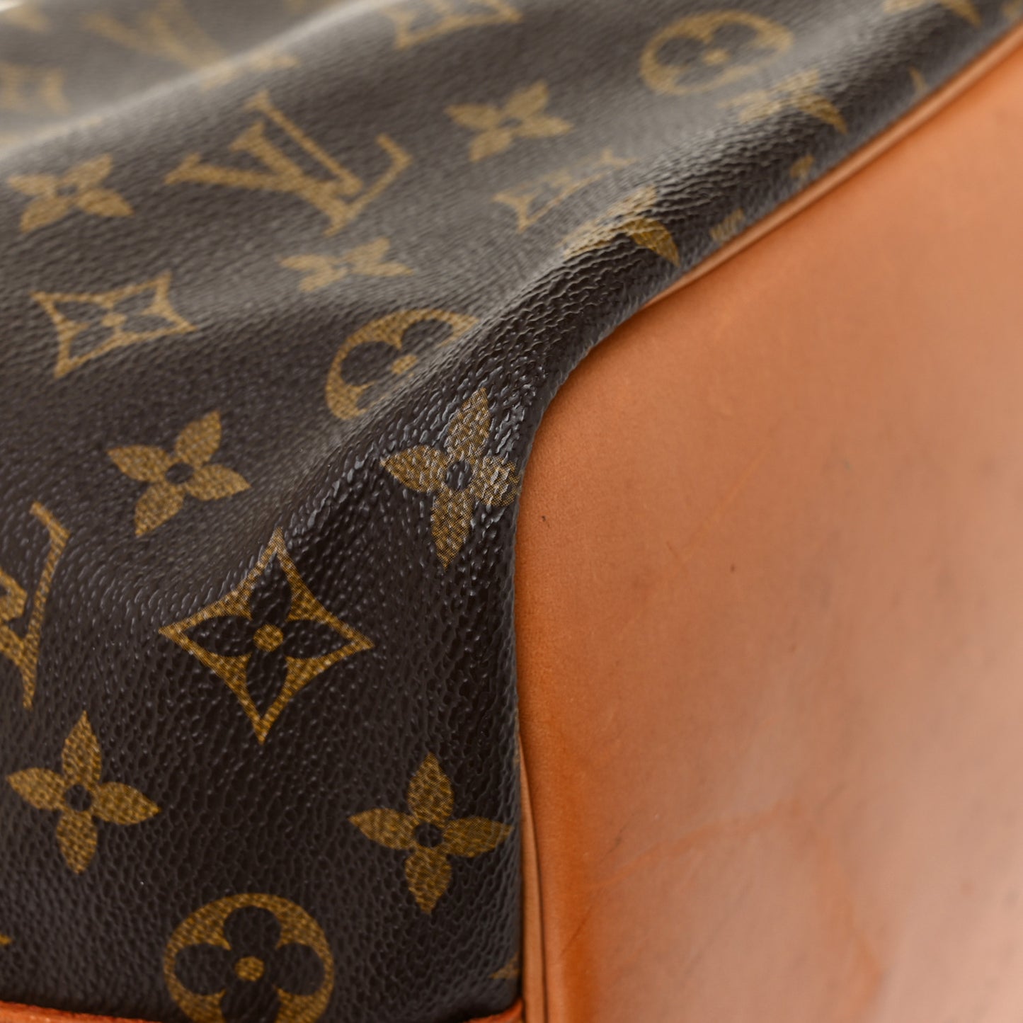 Monogram Petit Noe