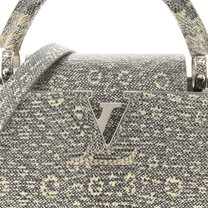 Louis Vuitton Lizard Mini Capucines Argento 7 of 10