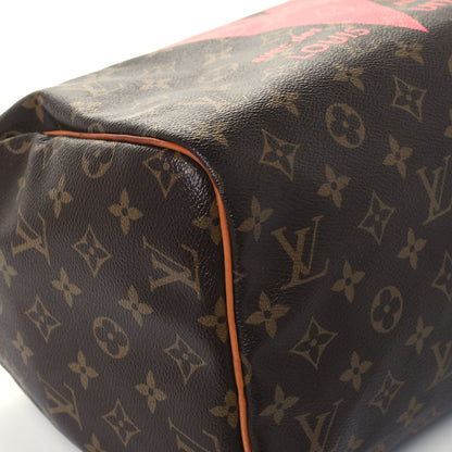 Louis Vuitton Monogram Speedy 30 V Grenade 13 of 13