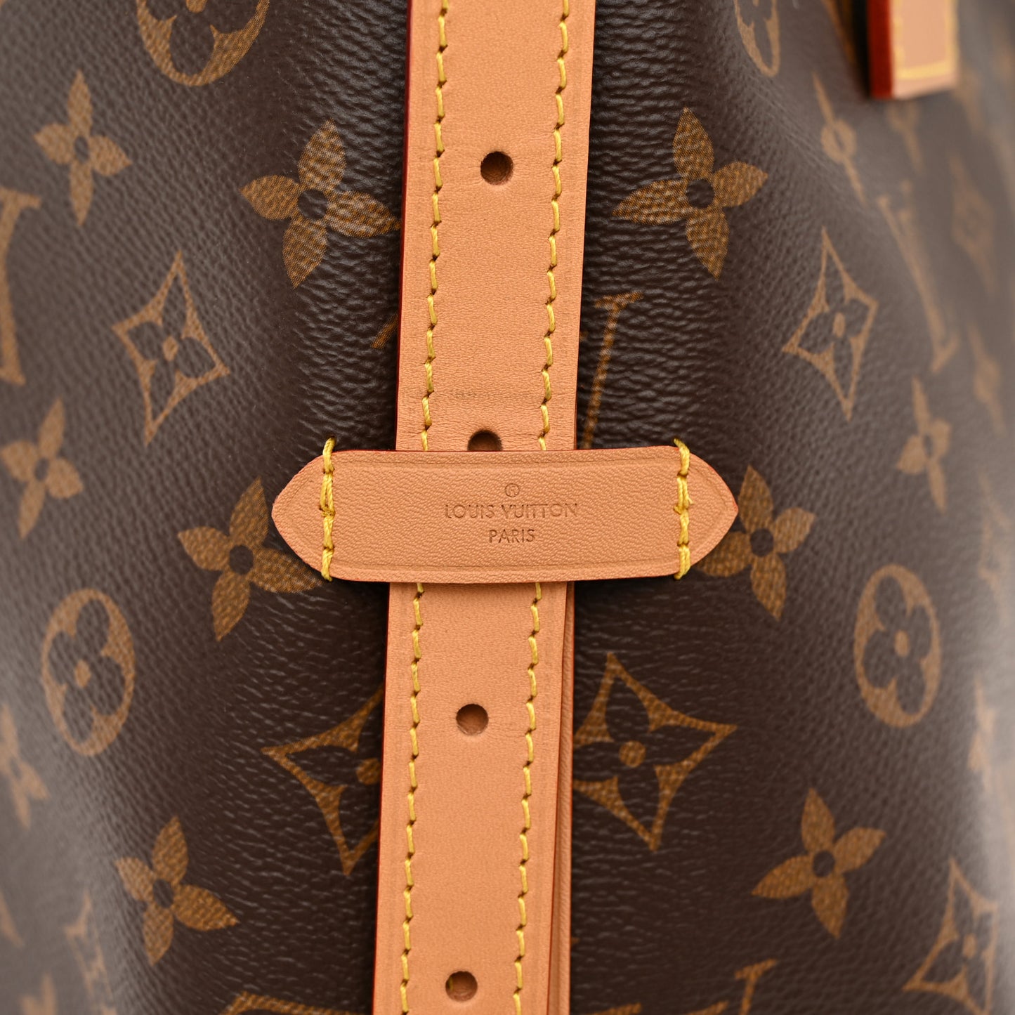 Monogram CarryAll MM