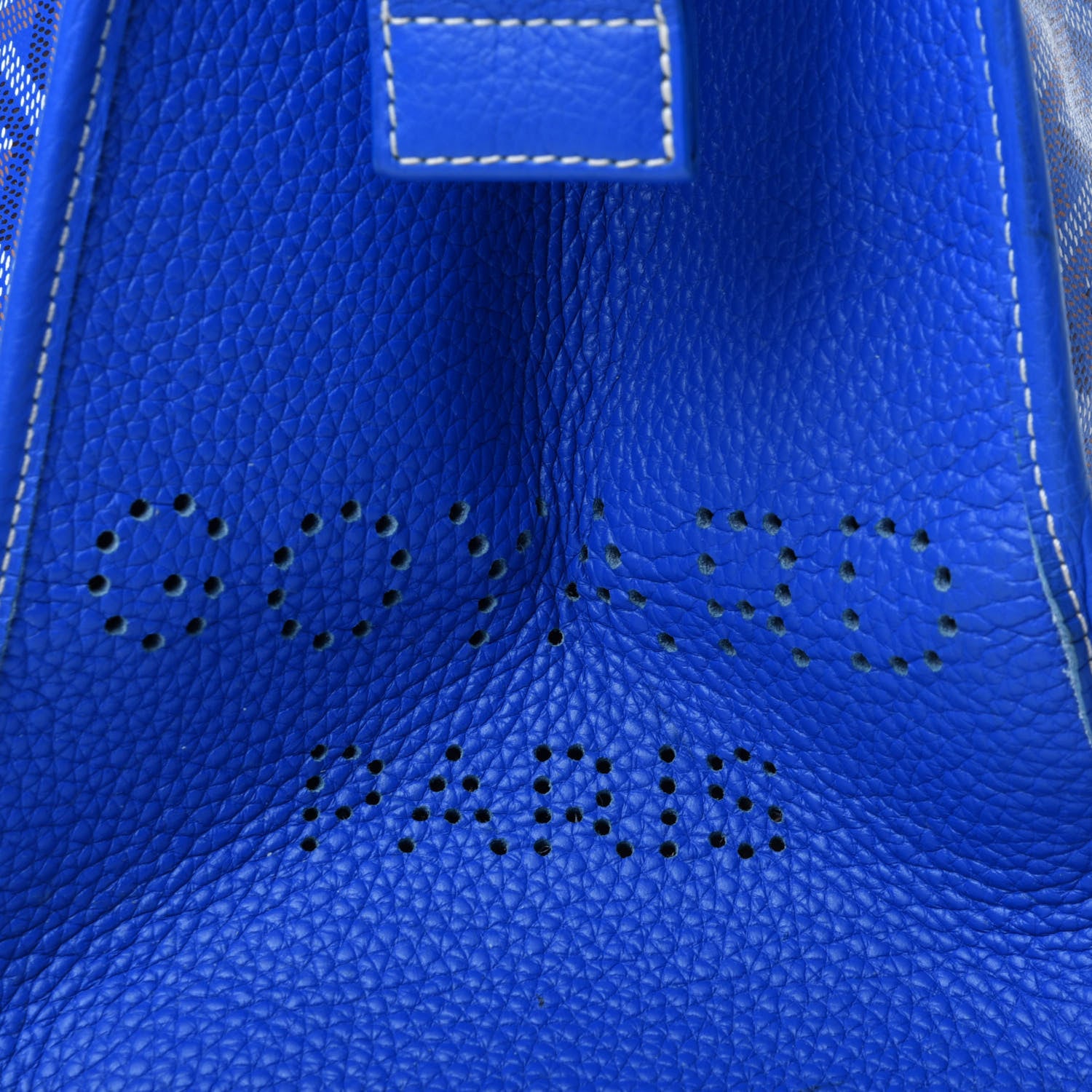 Goyard Goyardine Sac Hardy Pet Carrier PM Sky Blue 9 of 10