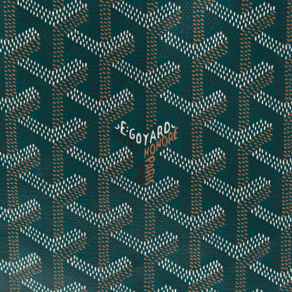 Goyard Goyardine Saint Louis PM Green 12 of 12