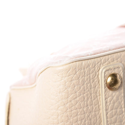 Louis Vuitton Mini Lin Trapeze PM Rose 16 of 17