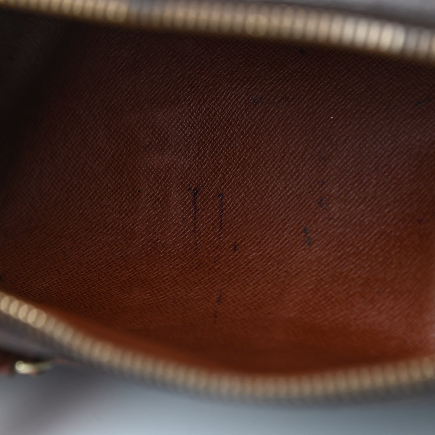 Monogram Papillon 30 With Companion
