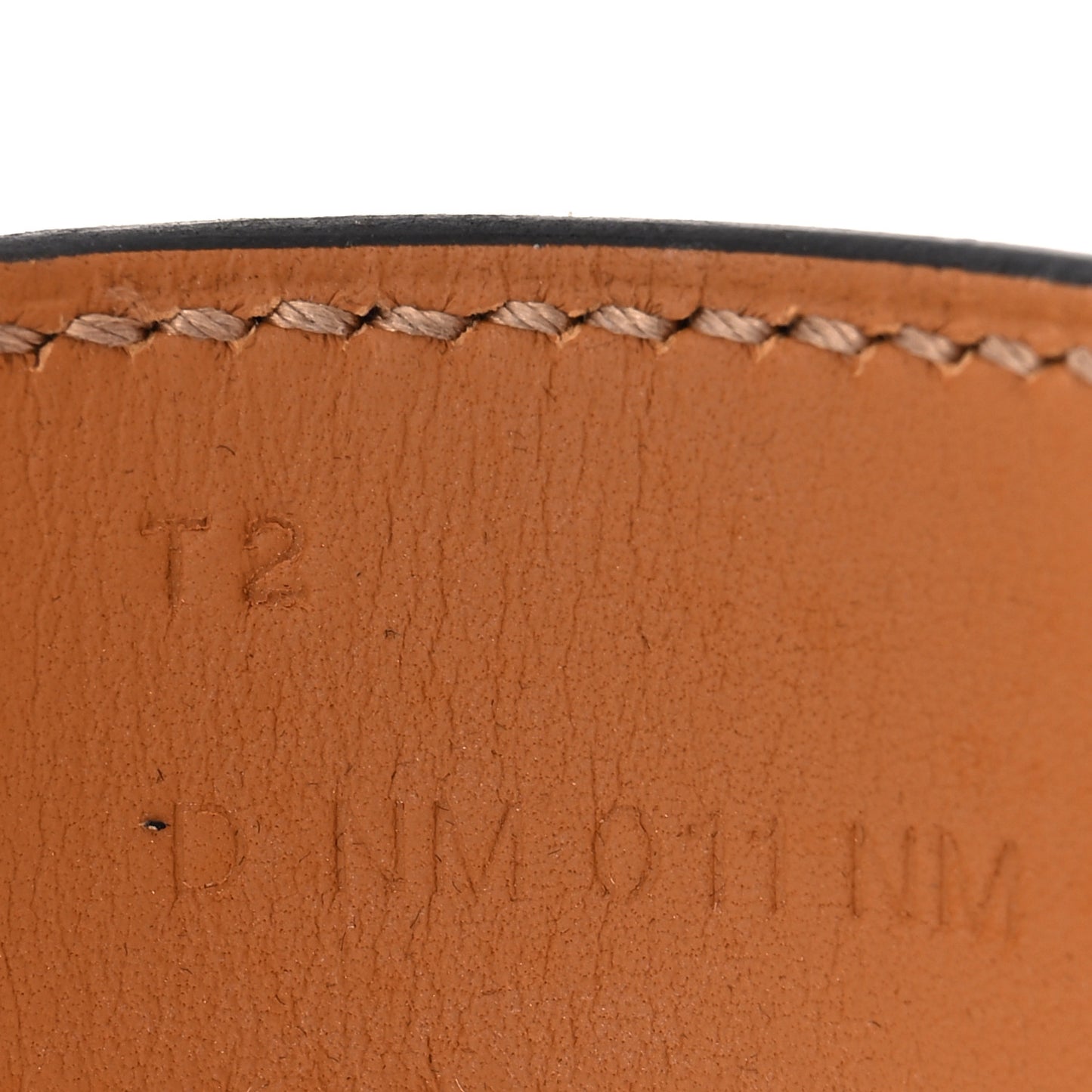 Evercolor Collier de Chien CDC Bracelet T2 Anemone