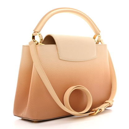 Louis Vuitton Taurillon Gradient Capucines PM Cloudy Creme 3 of 18