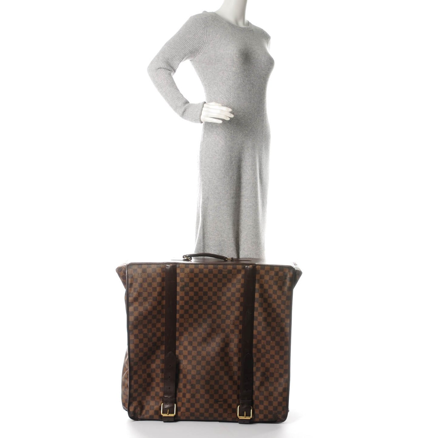 Damier Ebene Garment Carrier