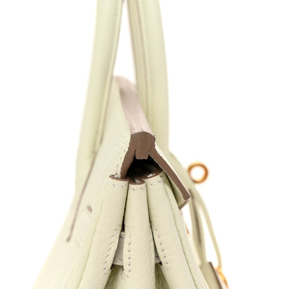 Hermes Togo Birkin 25 Mushroom 12 of 13