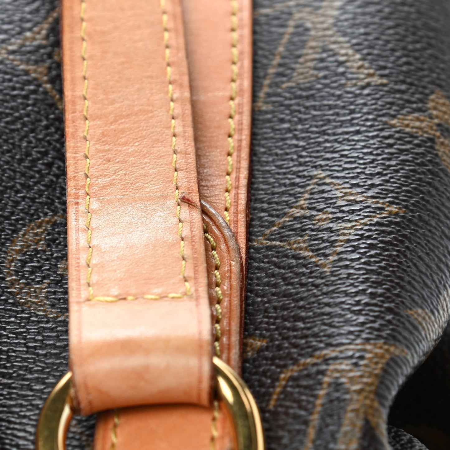 Monogram Stresa GM