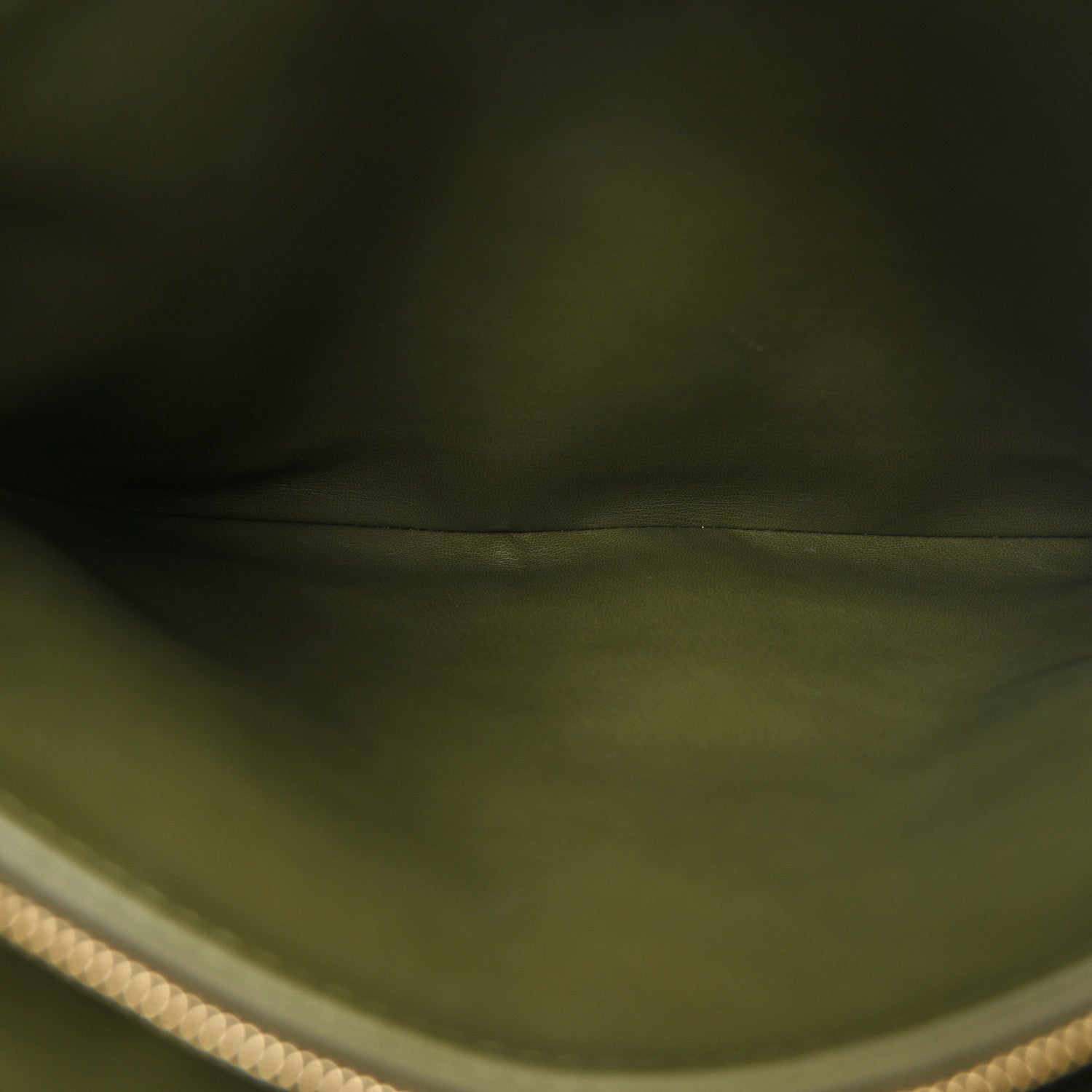 Louis Vuitton Lambskin Embossed Monogram Coussin MM Khaki 6 of 10