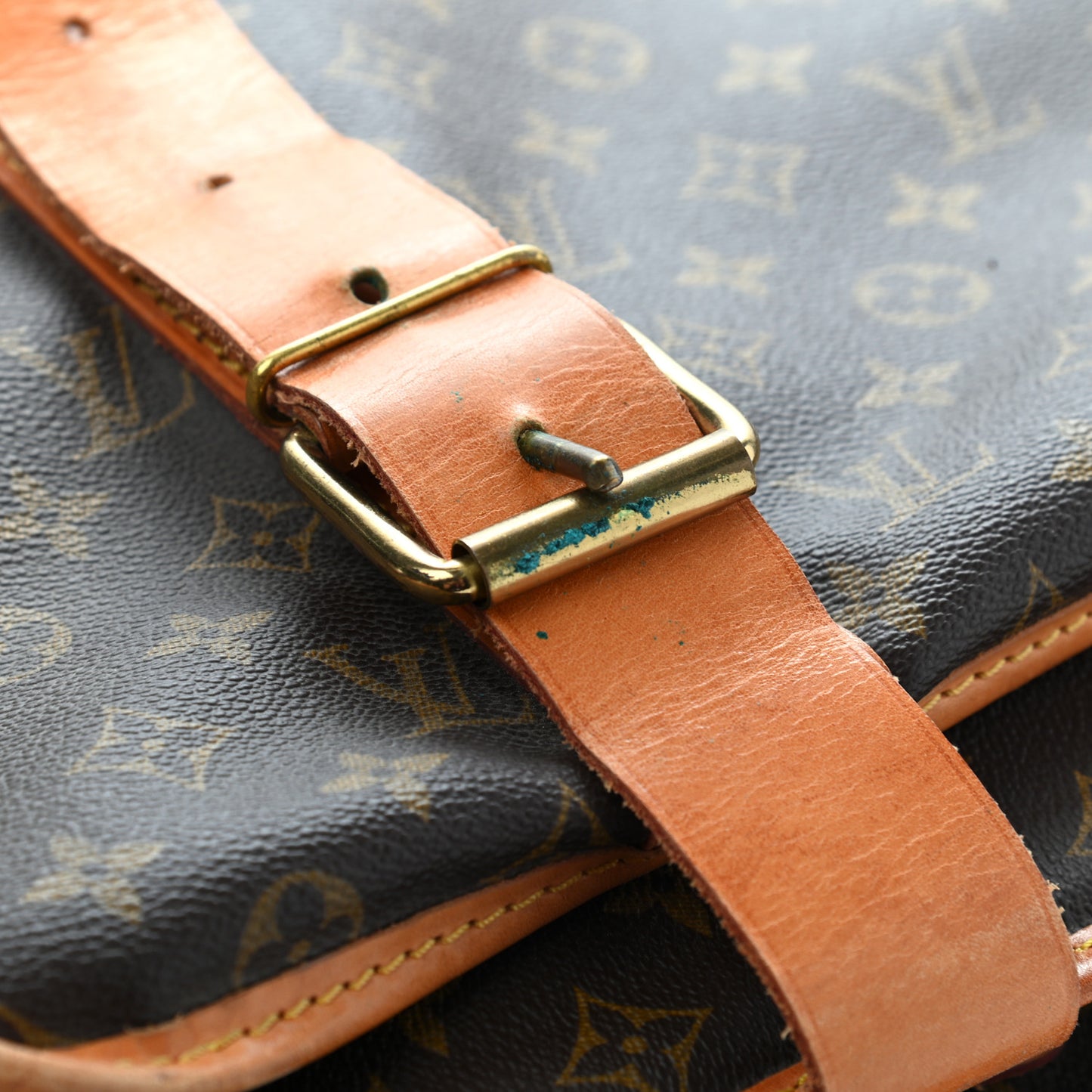 Monogram Portable Garment Bag