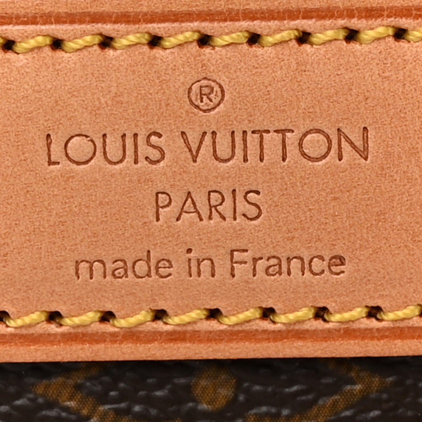 Monogram Sac Chien 40 Pet Carrier