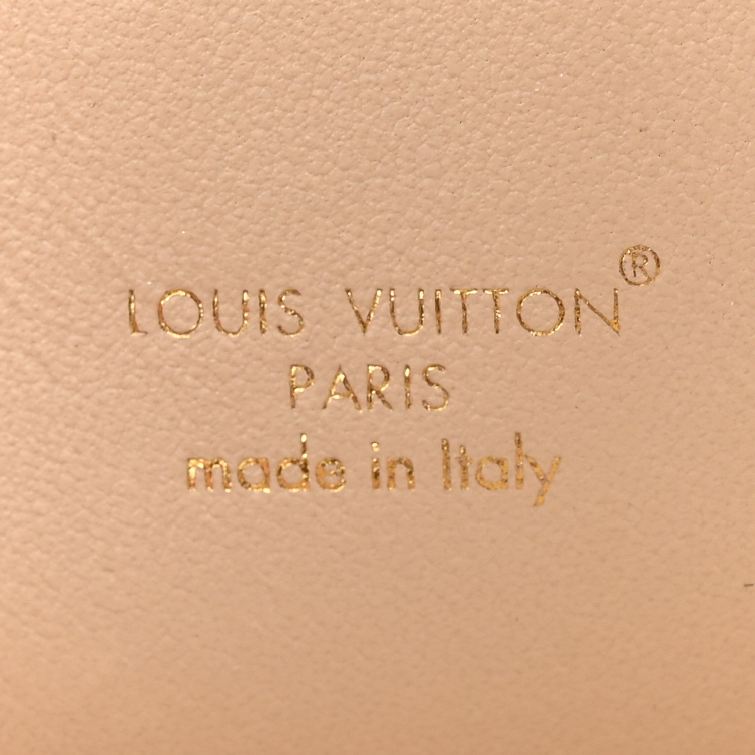 Louis Vuitton Monogram Dog Bags Holder 3 of 7
