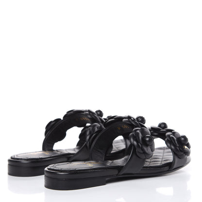Chanel Lambskin Camellia Sandals 35.5 Black 4 of 11