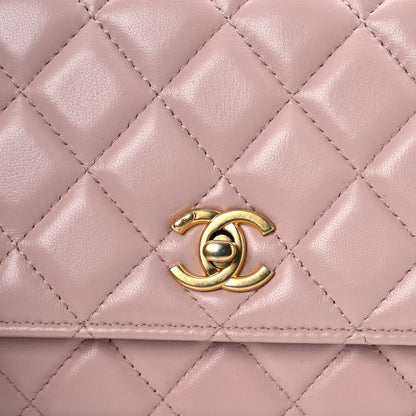 Chanel Lambskin Quilted Sweet Camellia Wallet on Chain WOC Light Beige 9 of 12
