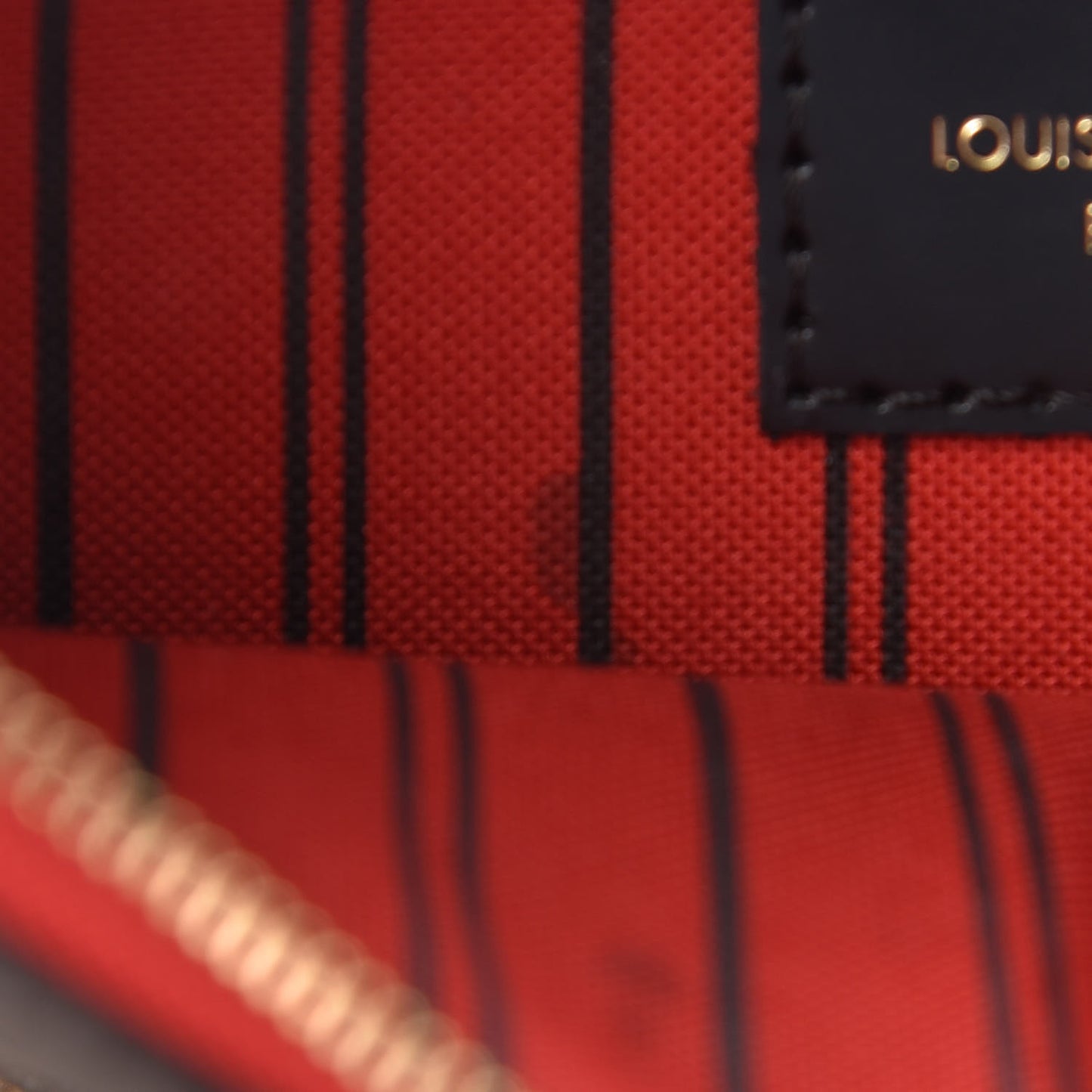 Monogram World Tour Neverfull MM GM Pochette