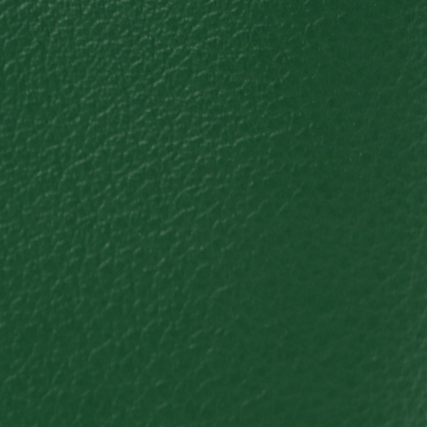 Goyard Goyardine Reversible Mini Anjou Green 16 of 18