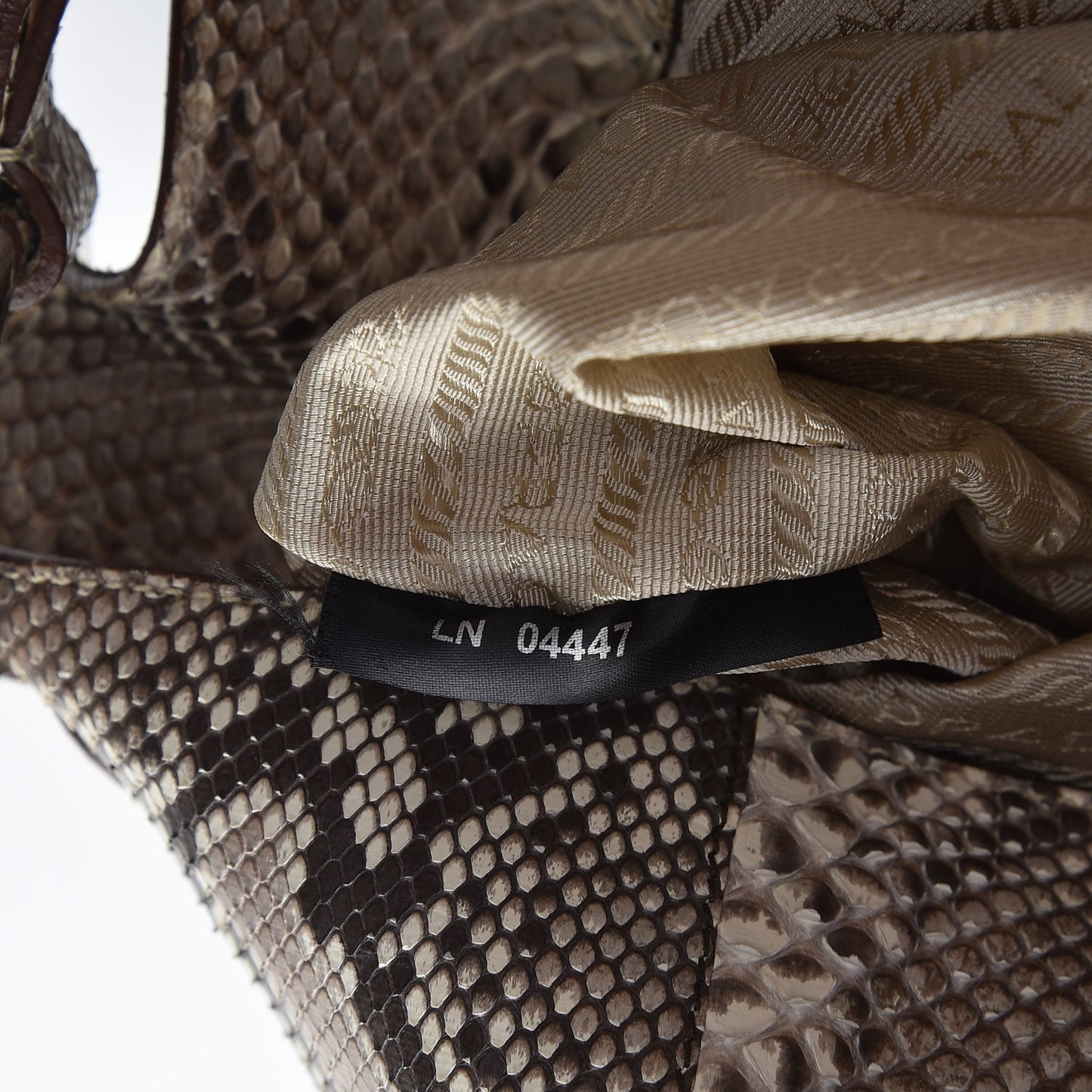 Python Logo Hobo Roccia
