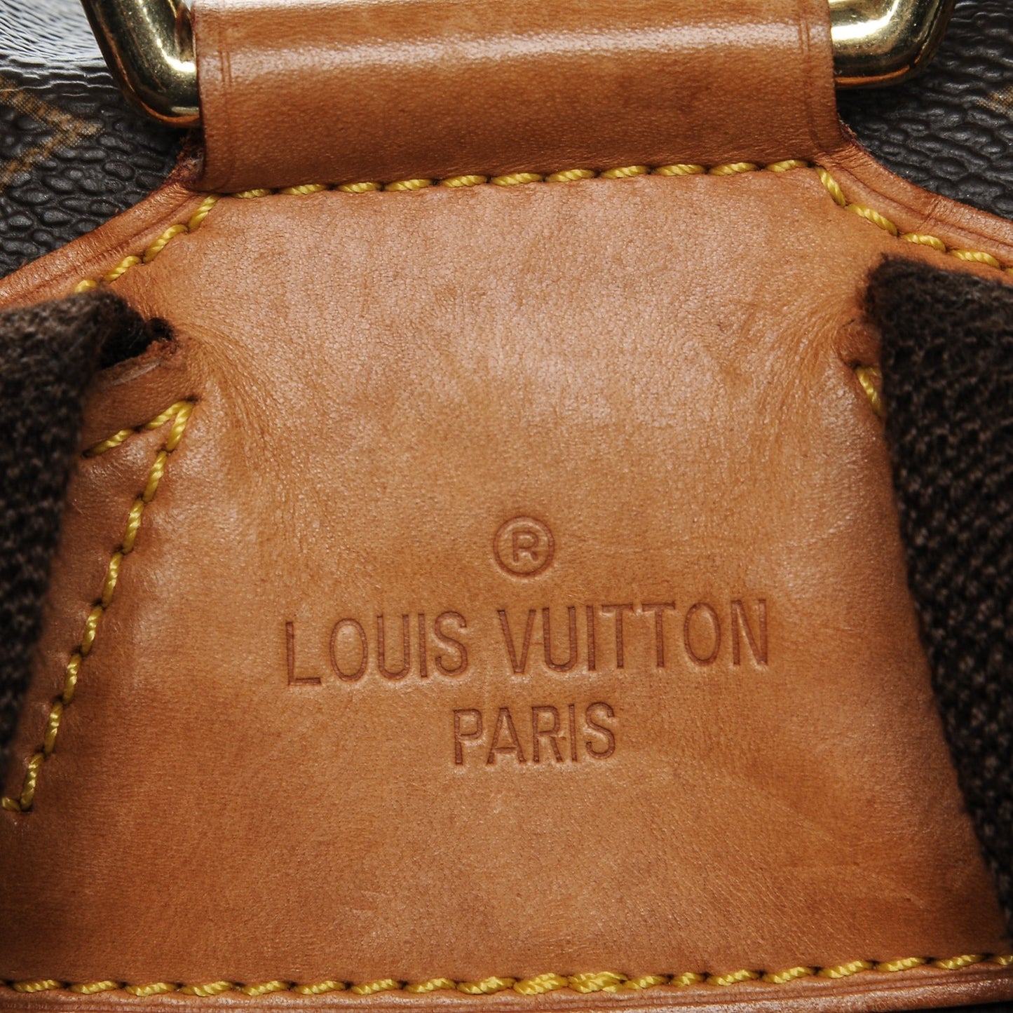 Monogram Montsouris GM Backpack
