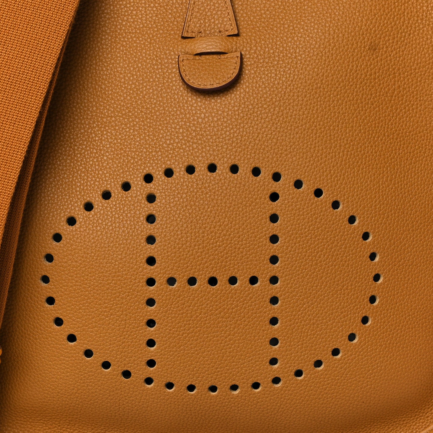 Taurillon Clemence Evelyne III PM Sesame