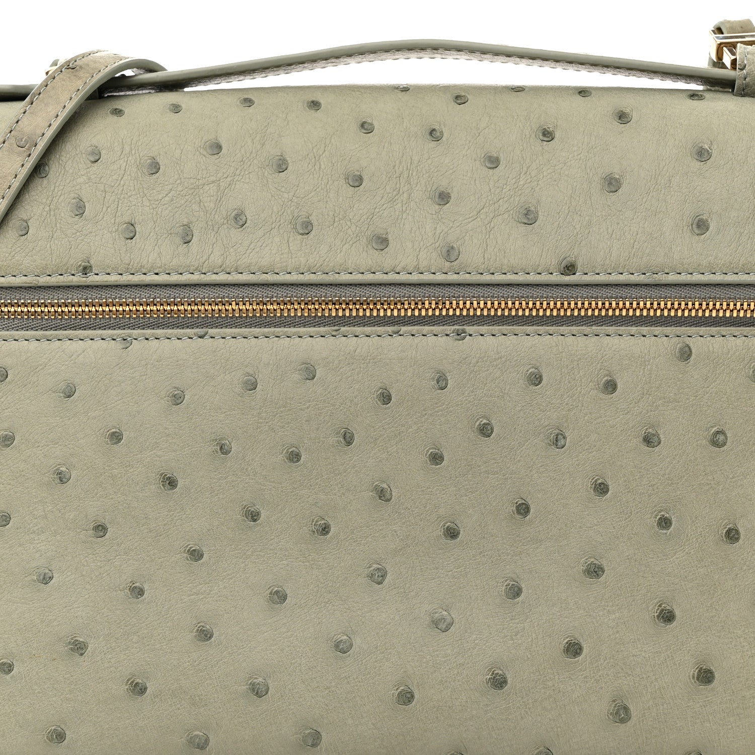 Loro Piana Ostrich Extra Pocket L27 Eucalyptus 7 of 10