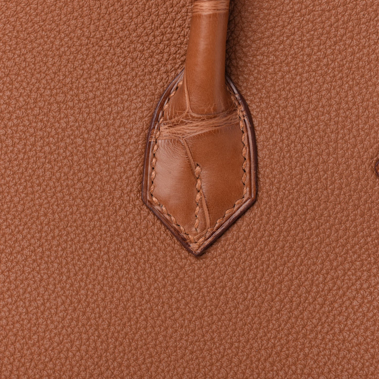 Togo Matte Alligator Birkin Touch 25 Gold