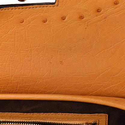 Gucci Ostrich Bamboo Bullet Bag Tan 8 of 13