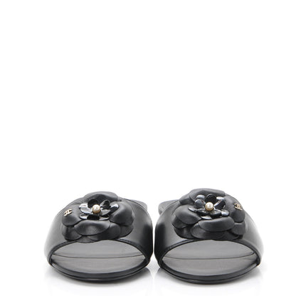 Chanel Lambskin Camellia Pearl Slides 35 Black 2 of 9