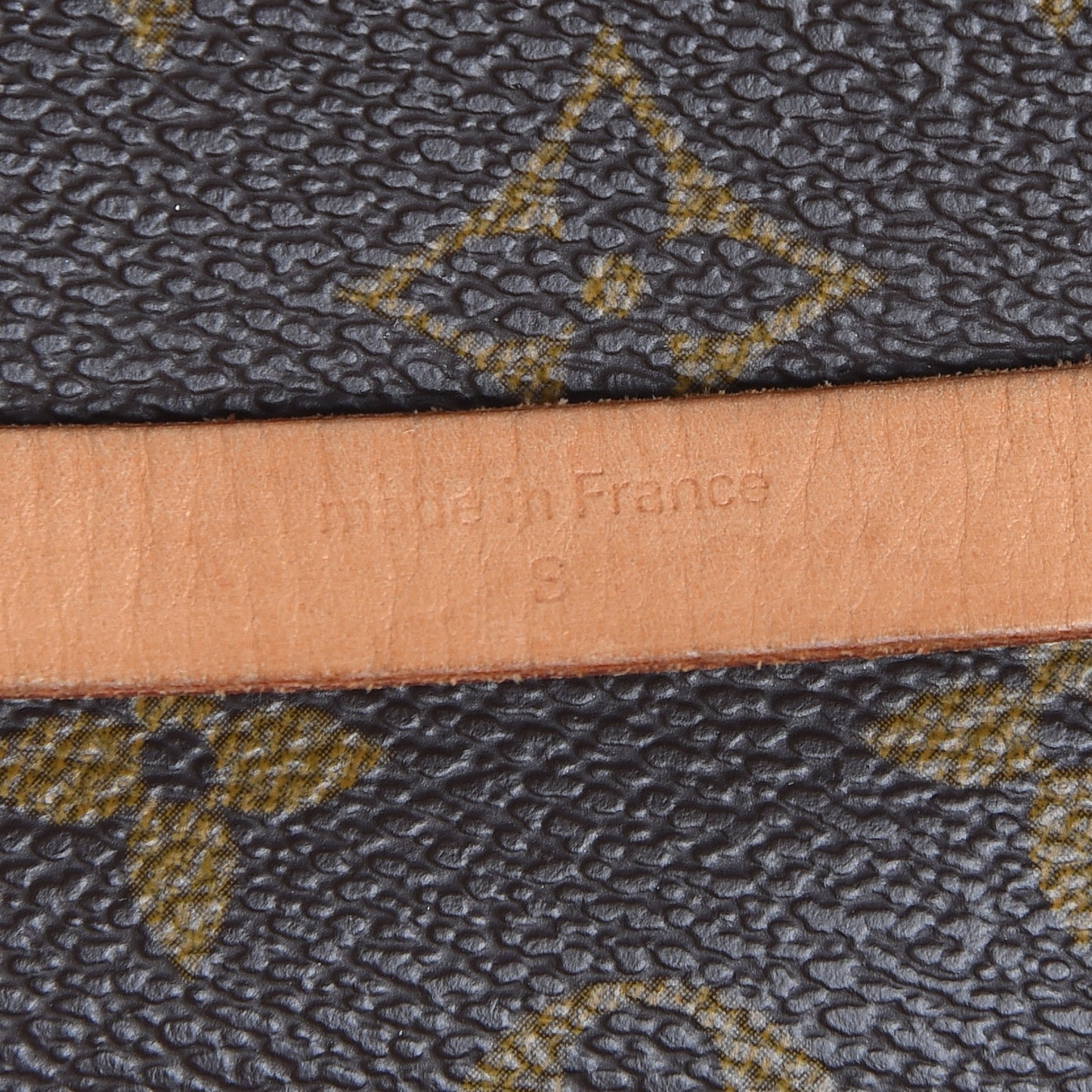Monogram Pochette Florentine S