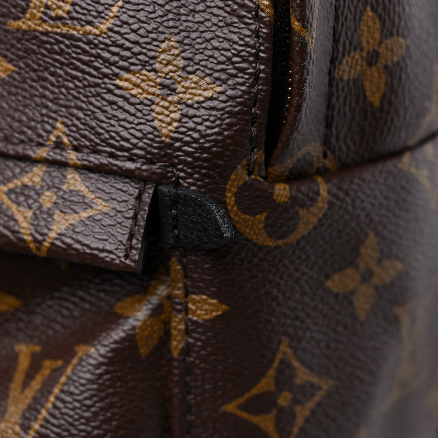 Monogram Palm Springs Backpack Mini