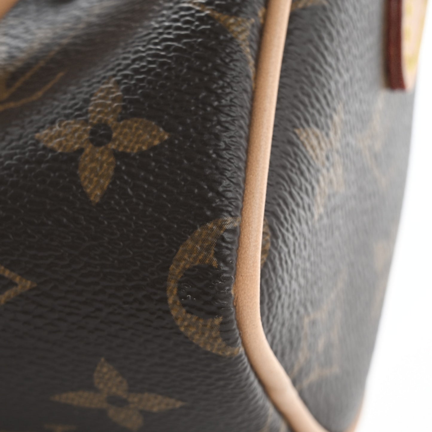 Monogram Nano Speedy Bandouliere