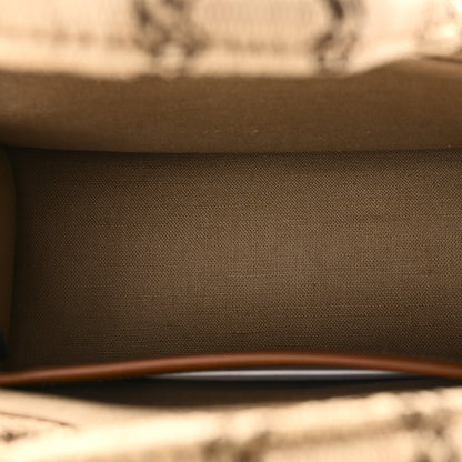 Celine Raffia Effect Calfskin Triomphe Jacquard Small Cabas Natural Tan 5 of 9