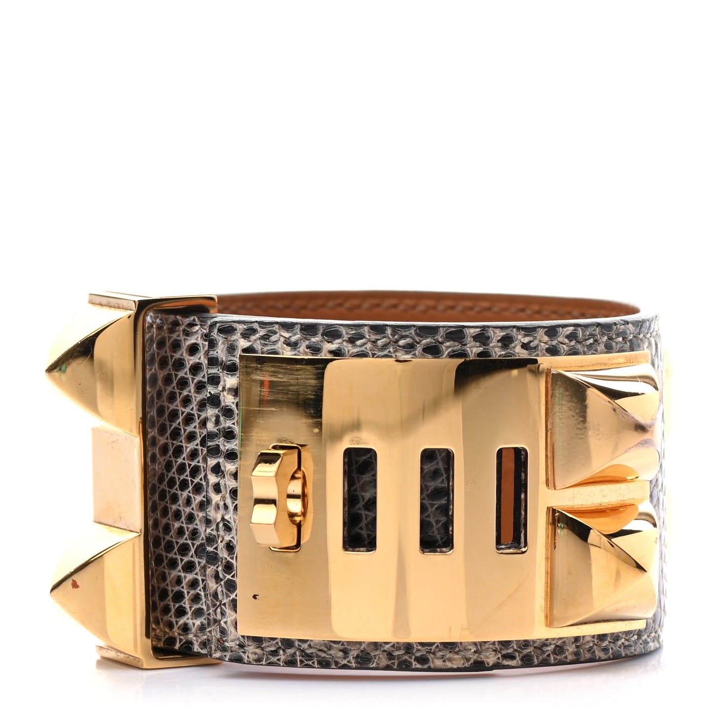 Lizard Collier De Chien CDC Bracelet T2 Ombre