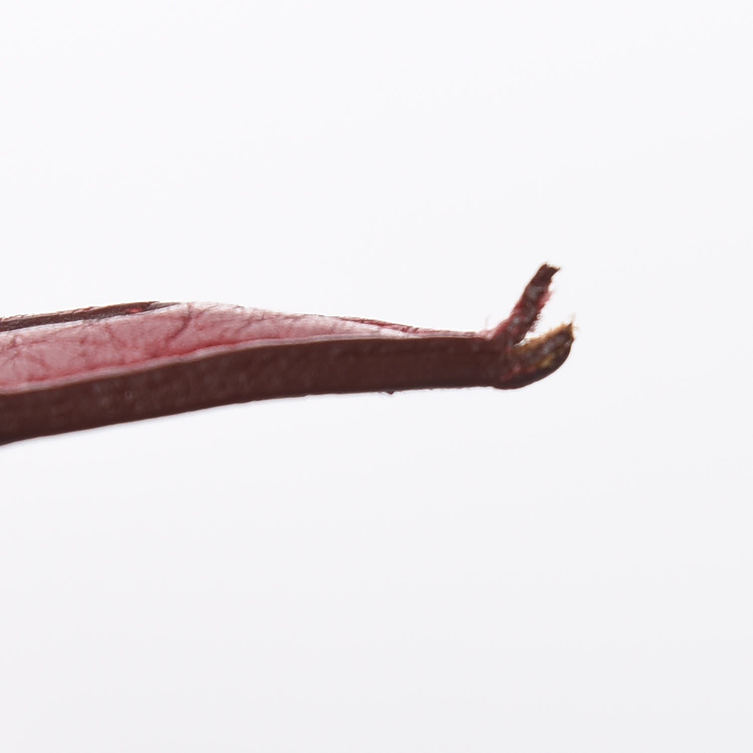 Hermes Taurillon Clemence Bolide 31 Rouge Garance 12 of 23