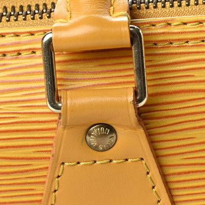 Louis Vuitton Epi Speedy 25 Tassil 9 of 9