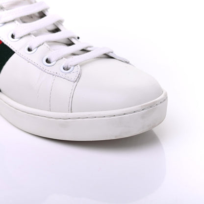 Gucci Calfskin Ayers Web Pineapple Ladybug Embroidered Womens Ace Sneakers 37.5 White 16 of 20