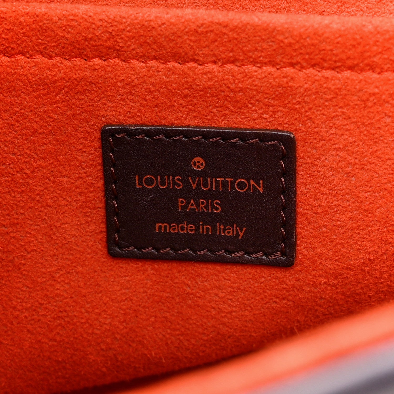 Louis Vuitton LOUIS VUITTON Damier Sauvage Lionne 6 of 13