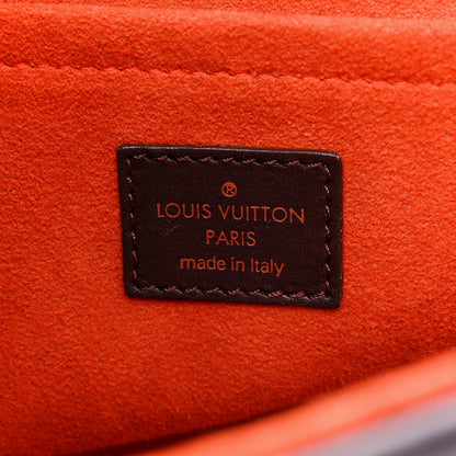 Louis Vuitton LOUIS VUITTON Damier Sauvage Lionne 6 of 13