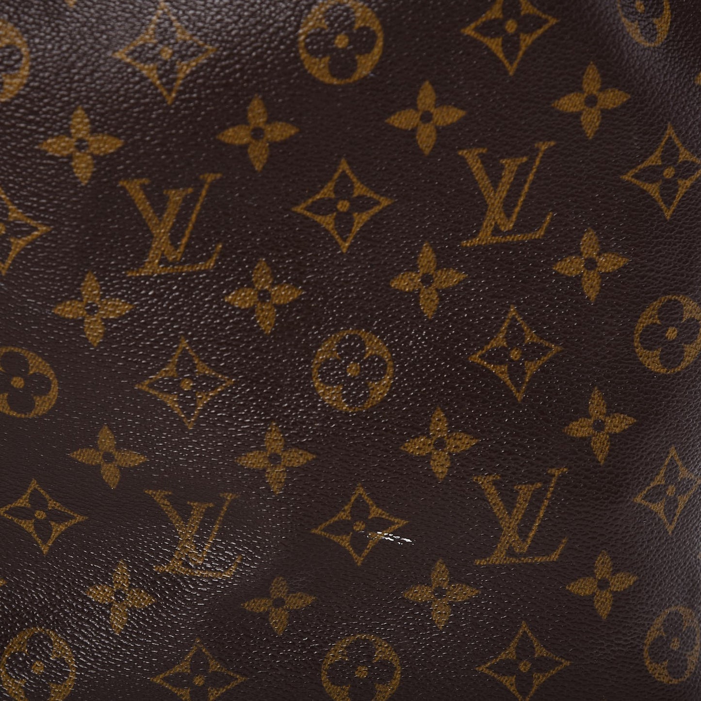 Monogram Petit Noe