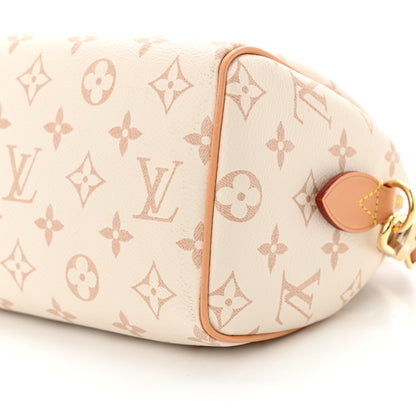 Louis Vuitton Monogram Dune Speedy Bandouliere 20 9 of 9