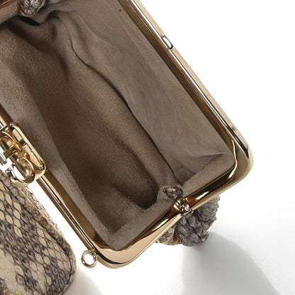 Christian Dior Python Babe Frame Bag 8 of 14