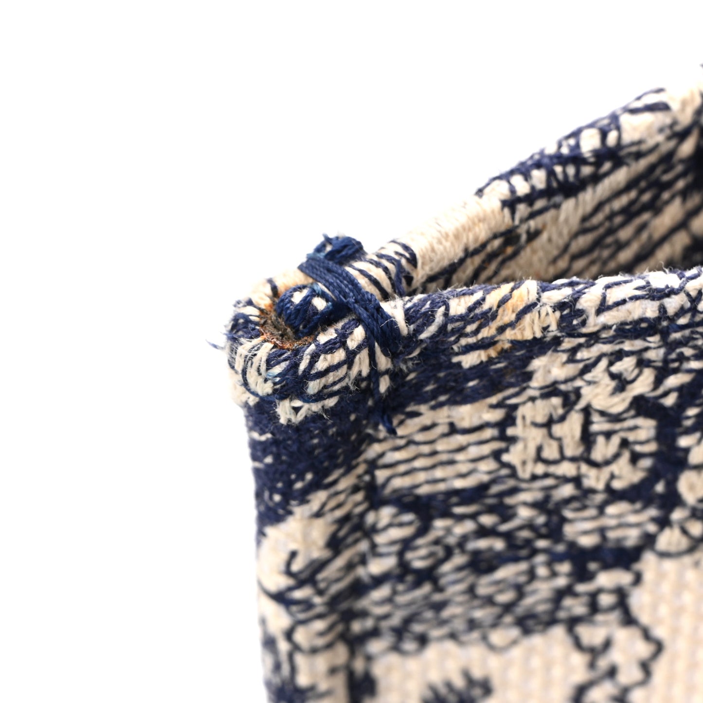Canvas Embroidered Medium Dioriviera Toile De Jouy Book Tote Blue