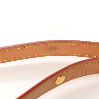 Louis Vuitton Monogram Loop 11 of 11