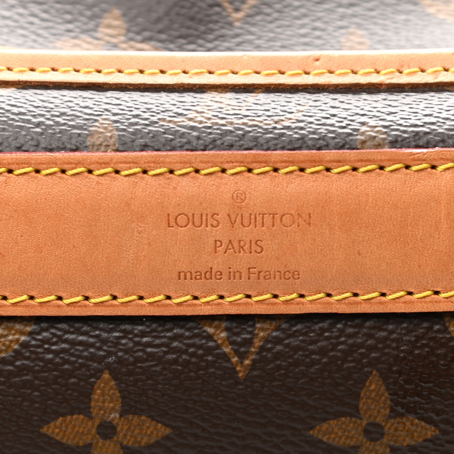 Louis Vuitton Monogram Sac Chien 40 Pet Carrier 6 of 14