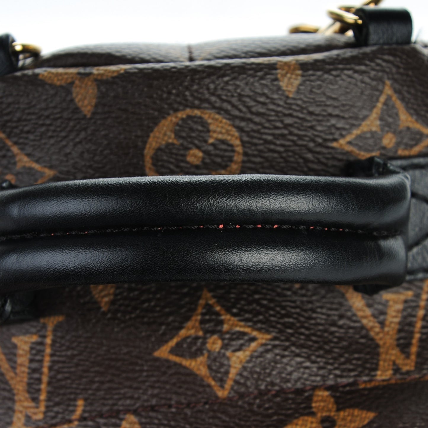 Monogram Palm Springs Backpack Mini