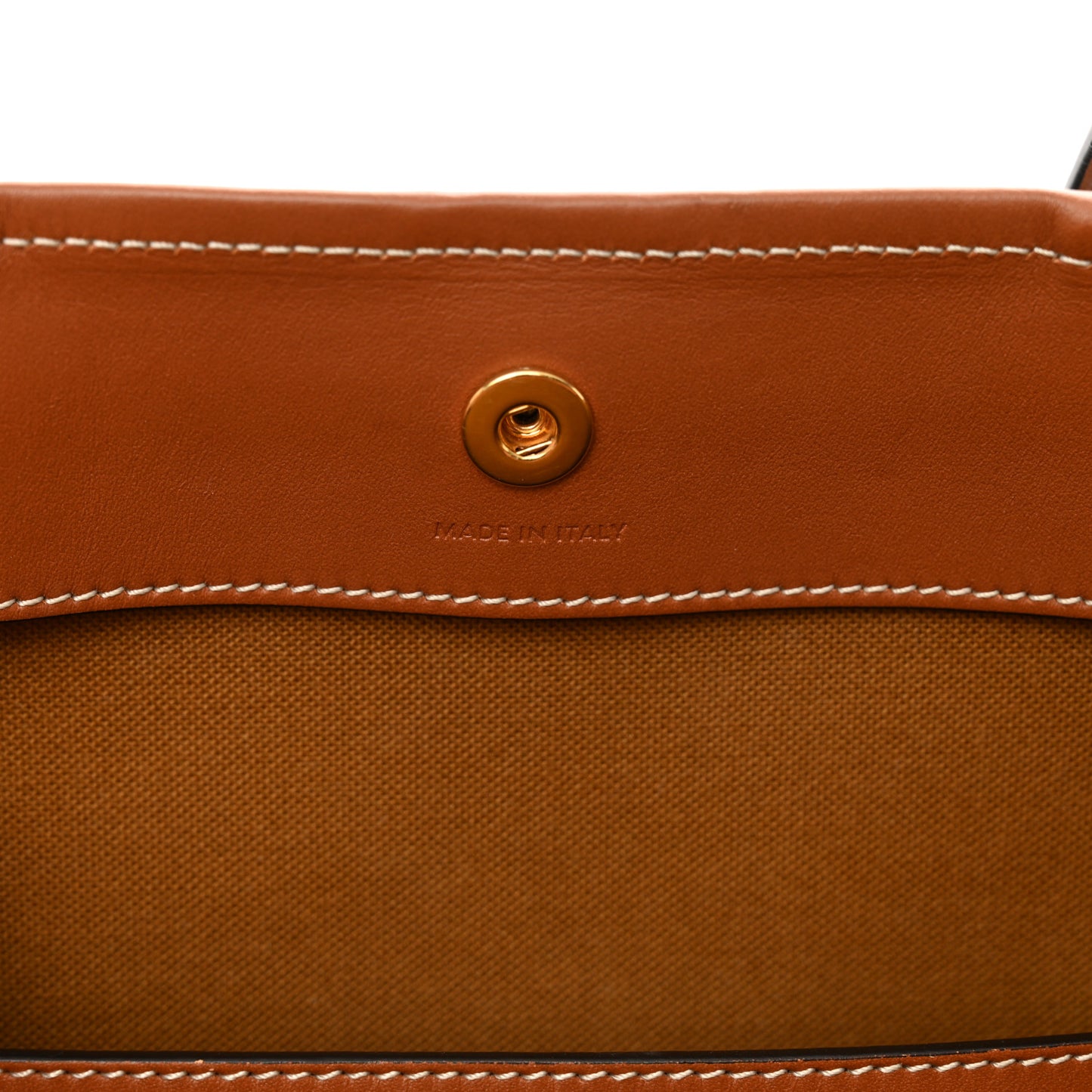 Triomphe Canvas Calfskin Medium Cabas Bag Tan