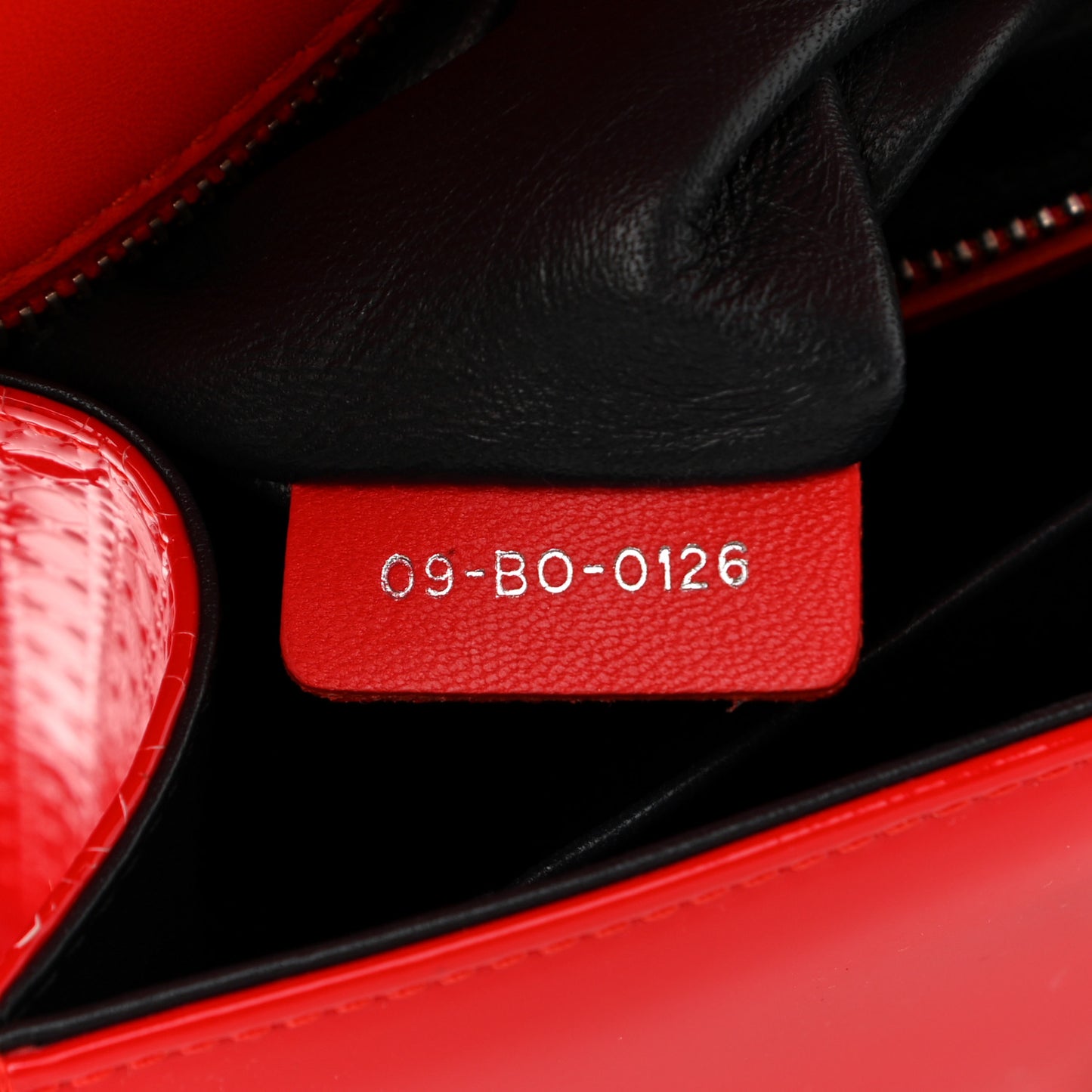 Patent Micro-Cannage Medium Diorama Flap Bag Red