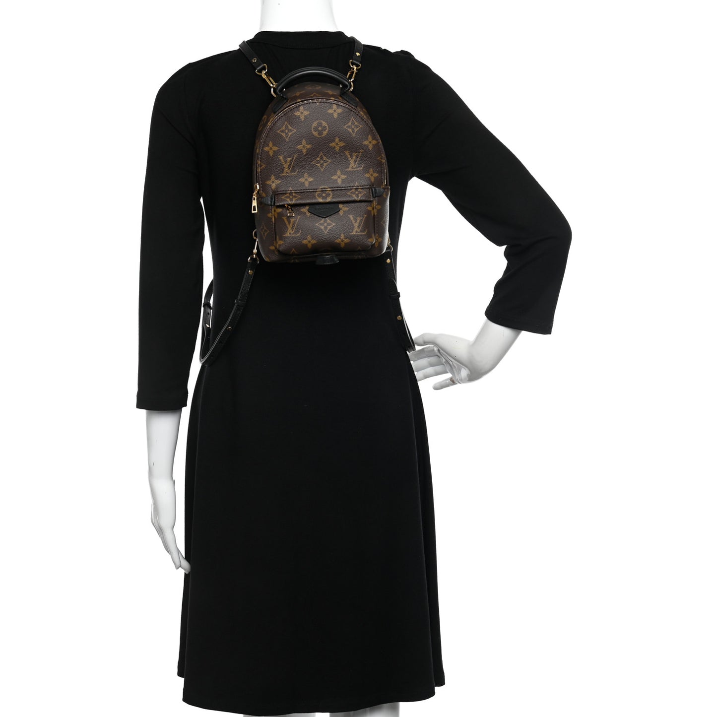 Monogram Palm Springs Backpack Mini