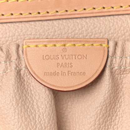 Louis Vuitton Monogram Nice 6 of 14