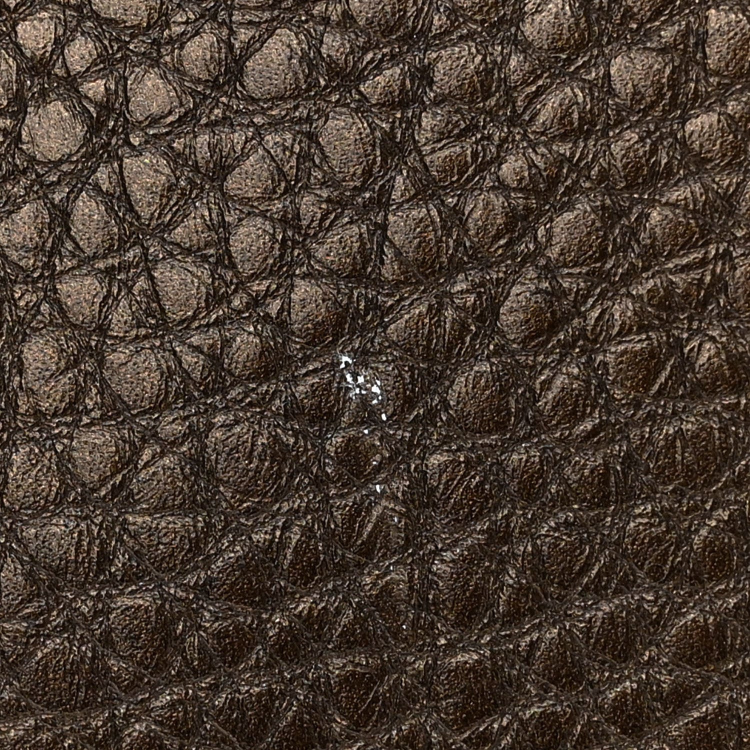 Chanel Metallic Deerskin Cerf Executive Shopper Tote Copper 12 of 12